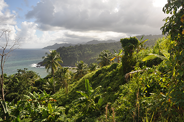 DOMINICA THE JEWEL ISLAND OF THE FORGOTTEN PEOPLE